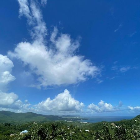 Villa Les Alizes Morne Blanc Buitenkant foto